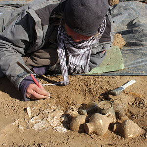 Ines Jöns (Grabungstechnikerin)